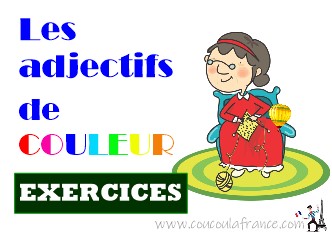 Les Adjectifs de Couleur Exercices