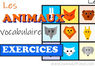 Exercices Les Animaux Devinettes
