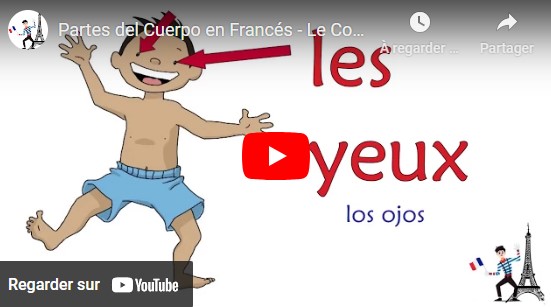 Cuerpo en francés
