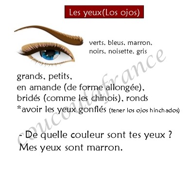La description en français